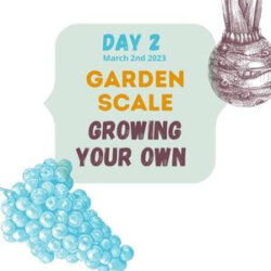 Day 2 Grow your own