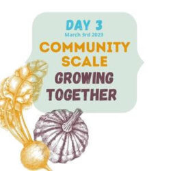 Day 3 Community Scale