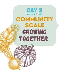 DAY 3 - Community Scale